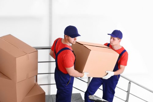 Furniture storage solution in Botanybay with organized household items