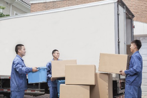 A clean and accessible storage area used for long-term organization