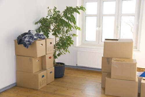Boxes and furniture arranged for long-term storage in Botanybay