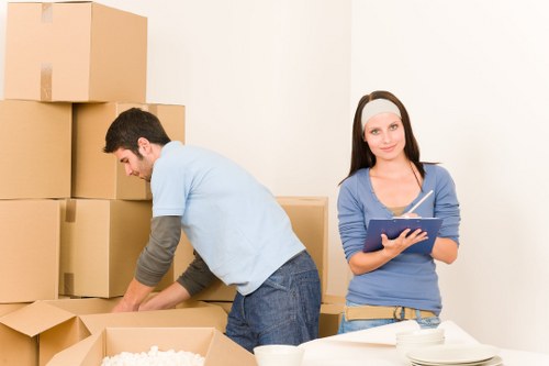 Fragile item packing in Botanybay using bubble wrap and labeled boxes